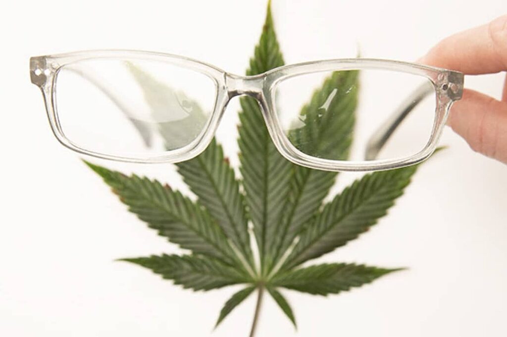 Aceite de cannabi medicinal: potencial terapéutico en el manejo del glaucoma.