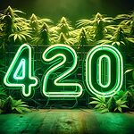 Una visión general de la cultura del cannabis y su importancia en la sociedad, destacando las prácticas "420 friendly".