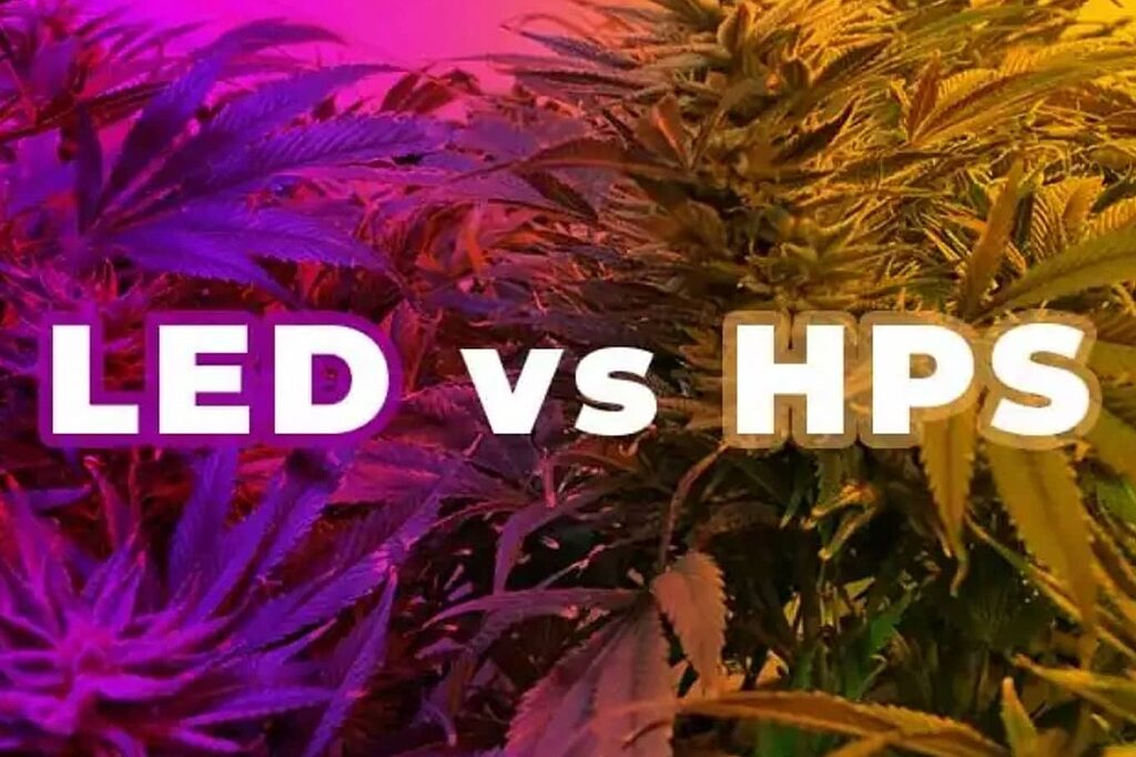 Comparativa de iluminación: LED vs HPS para cultivo interior.