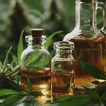 Aceite de CBD: la forma más común de consumir cannabidiol.