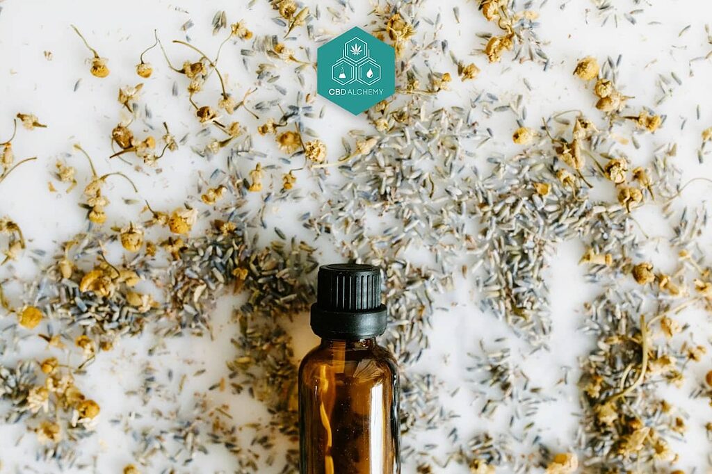 Chamomile, a classic for relaxation and good sleep. Prepare your infusion.