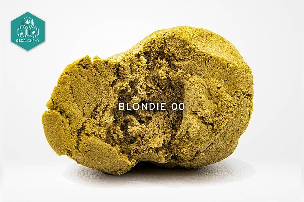 Blondie 00 de CBD Alchemy: color dorado uniforme y elasticidad perfecta, características de hachís premium elaborado con cáñamo orgánico