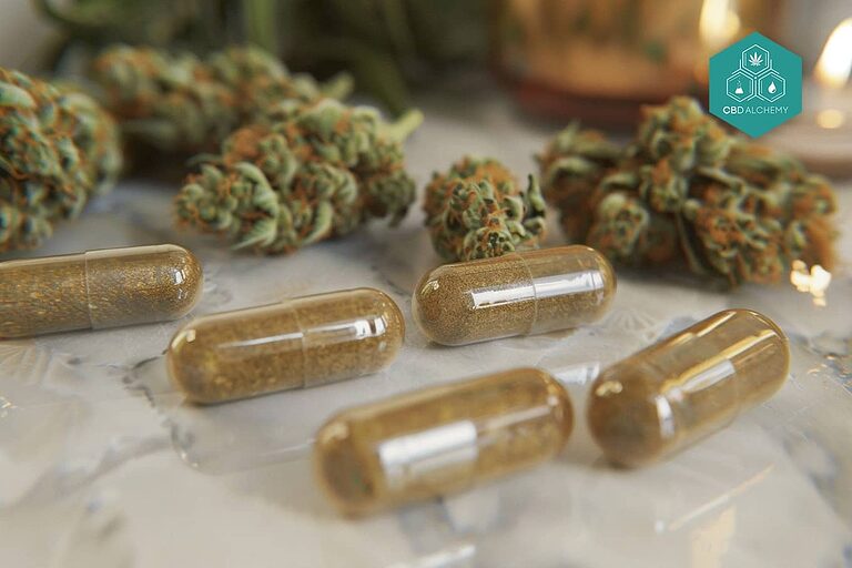 Las cápsulas de CBDA proporcionan una biodisponibilidad mejorada en comparación con el CBD, lo que las convierte en una opción potente para el bienestar.