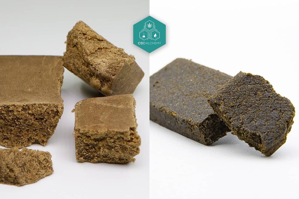 Explorez la diversité du CBD hash, du pollen blond aux résines plus sombres et collantes.