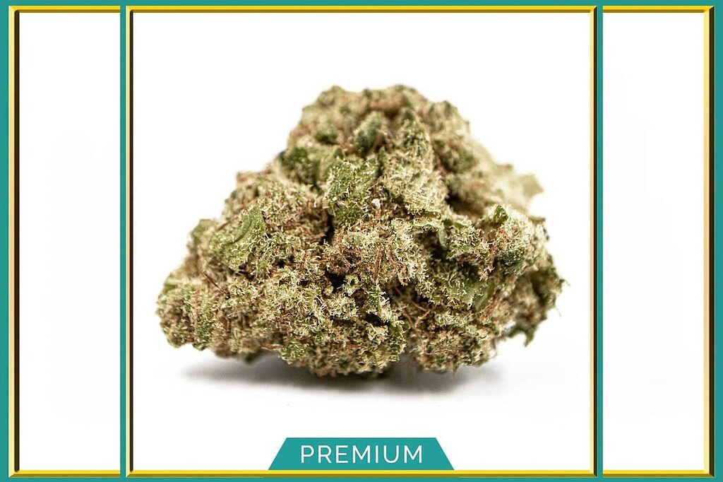 Try Blueberry CBD flowers for a pleasant and unique sensory experience.