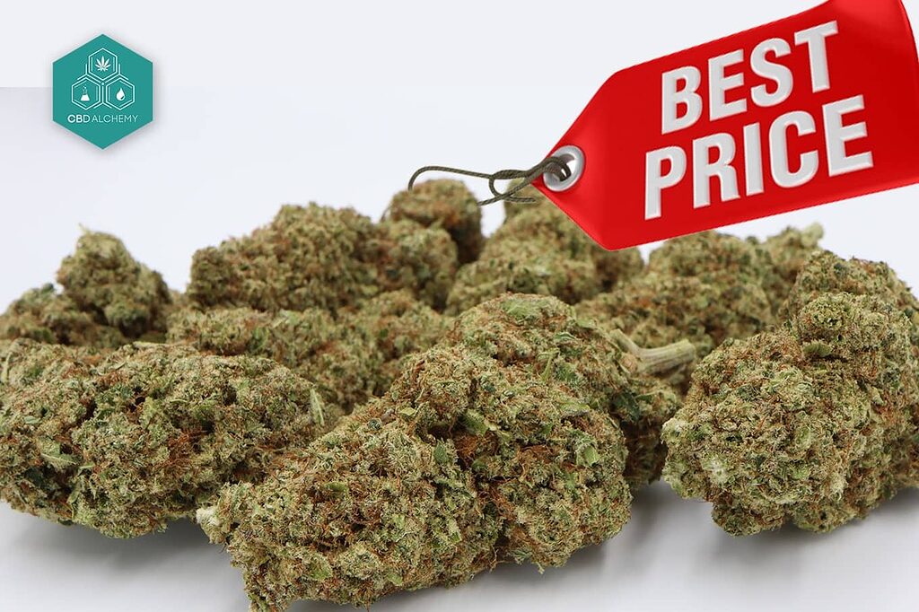 CBD Alchemy offers CBD flowers 1 euro per gram, affordable and quality.