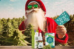 Qualität und Preis für CBD-Produkte nur bei CBD Alchemy.