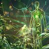 Illustration des Endocannabinoid-Systems, das mit CBD interagiert.