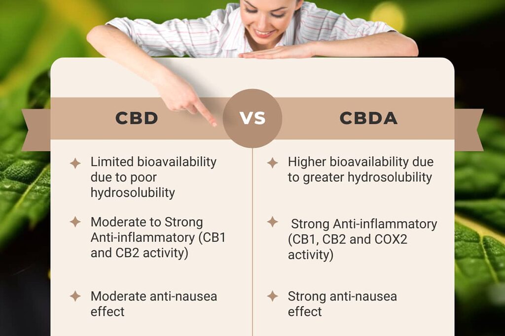 CBDA vs CBD: Capire le differenze e le connessioni