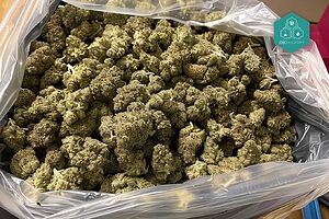 Selezionate gemme di cannabis ricche di CBD e a basso contenuto di THC a prezzi vantaggiosi.