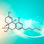 La struttura molecolare del cannabidiolo (CBD) differisce leggermente da quella del THC, il che spiega le sue proprietà non intossicanti.