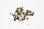 chocolate-seeds-2