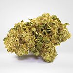 flowers-outdoor-cbg_haze-product-v6