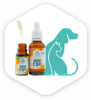 CBD for Dogs & Cats