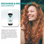 wellness-cbd_alchemy-shampoo-benefits