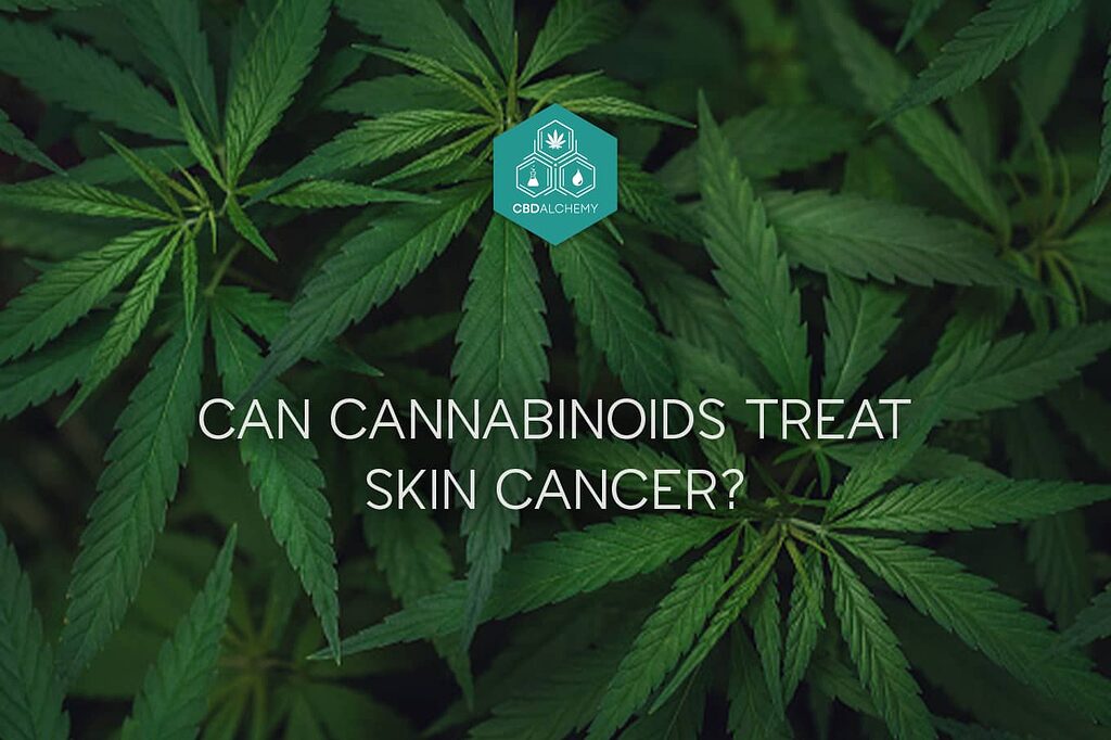 Cannabinoids & Skin Cancer: Early research suggests potential in inhibiting tumor growth, but further studies are essential.