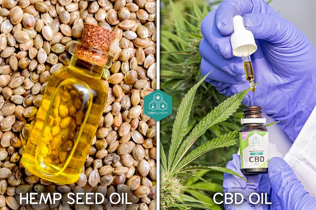 CBD oil vs. Hemp oil: Unraveling the differences and benefits of each.