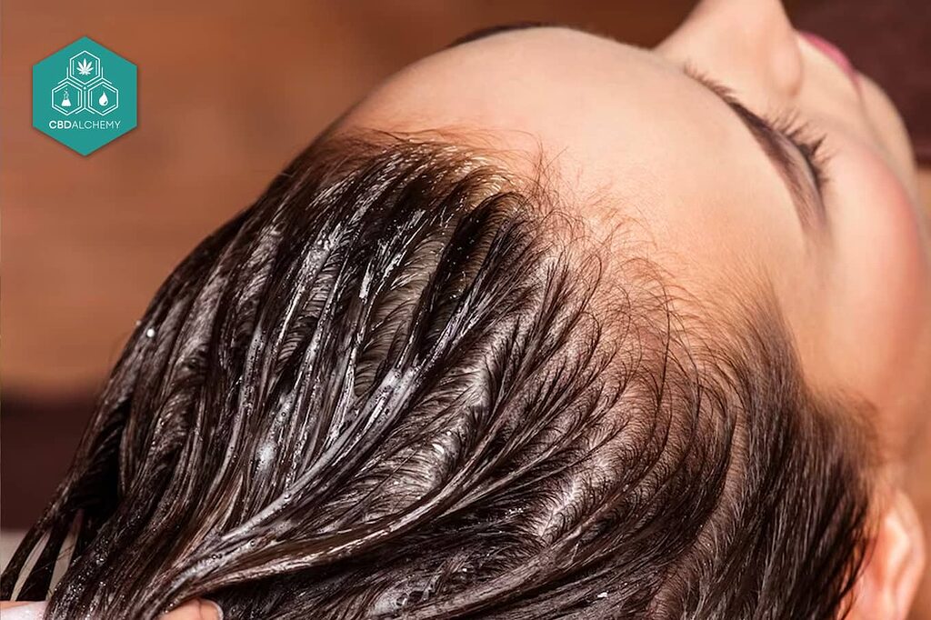 Le shampooing au CBD laisse les cheveux propres, volumineux et sains.