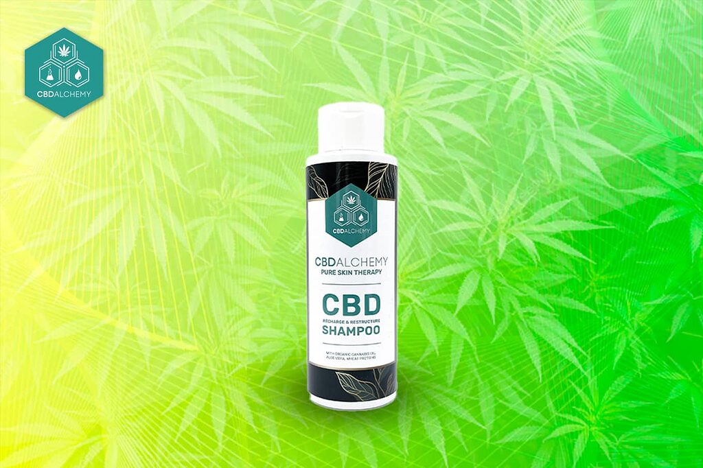 A bottle of CBD Alchemy shampoo, the epitome of natural hair care.