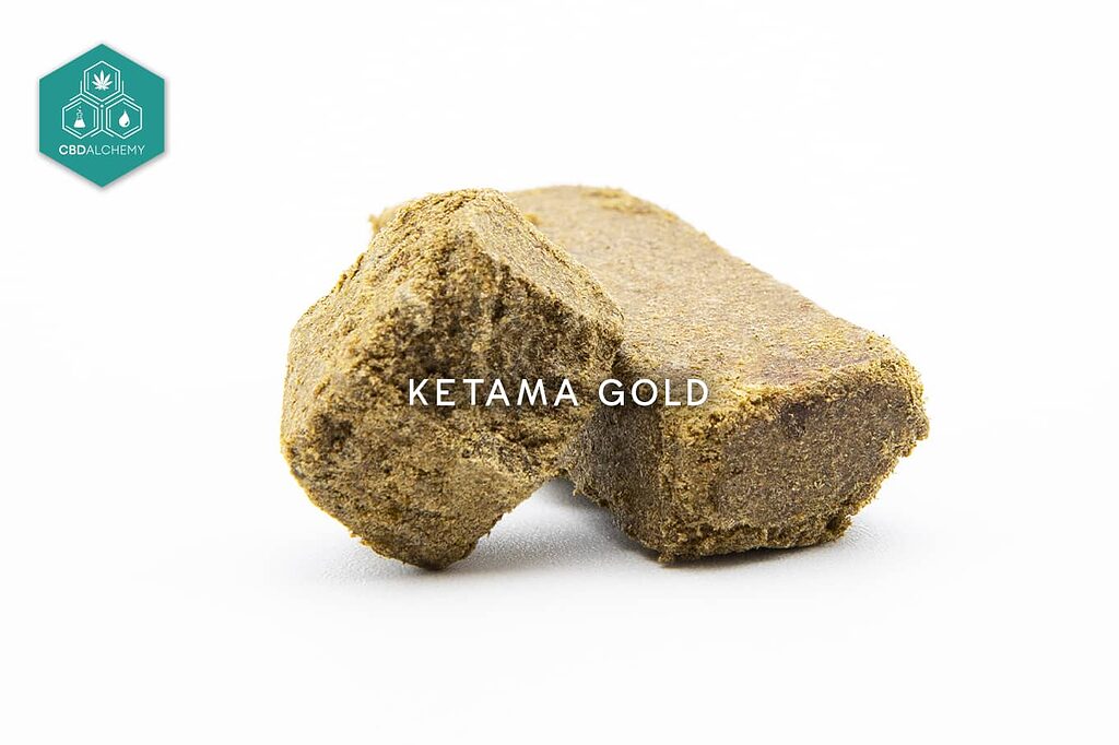Ketama Gold: Magia marocchina offerta da CBD Alchemy.