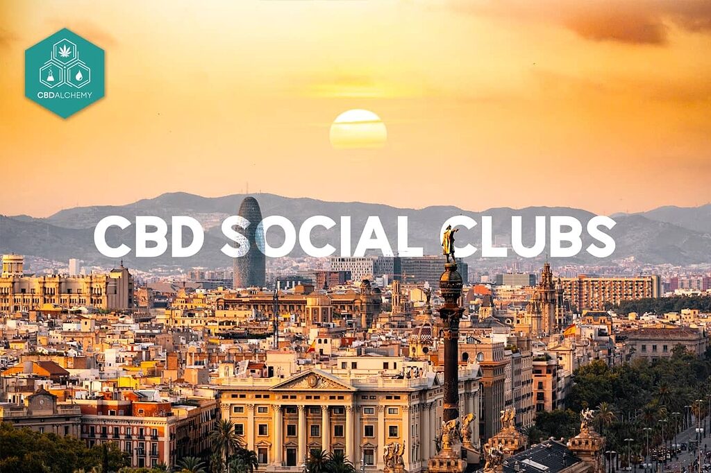 Un vistazo a los exclusivos clubes sociales de CBD de Barcelona, el centro neurálgico de los entusiastas del cannabis.
