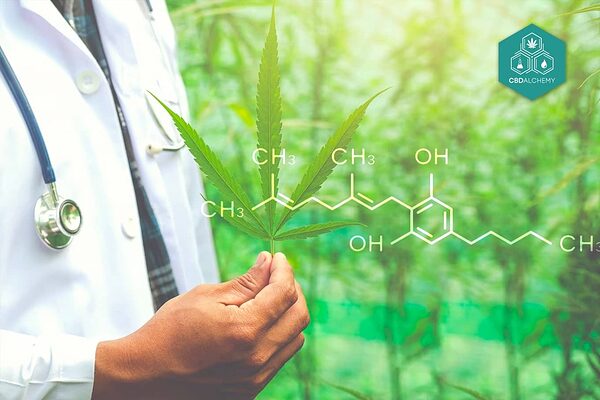 Understanding Cannabigerol (CBG): Benefits, Uses, And Comparisons | CBD ...