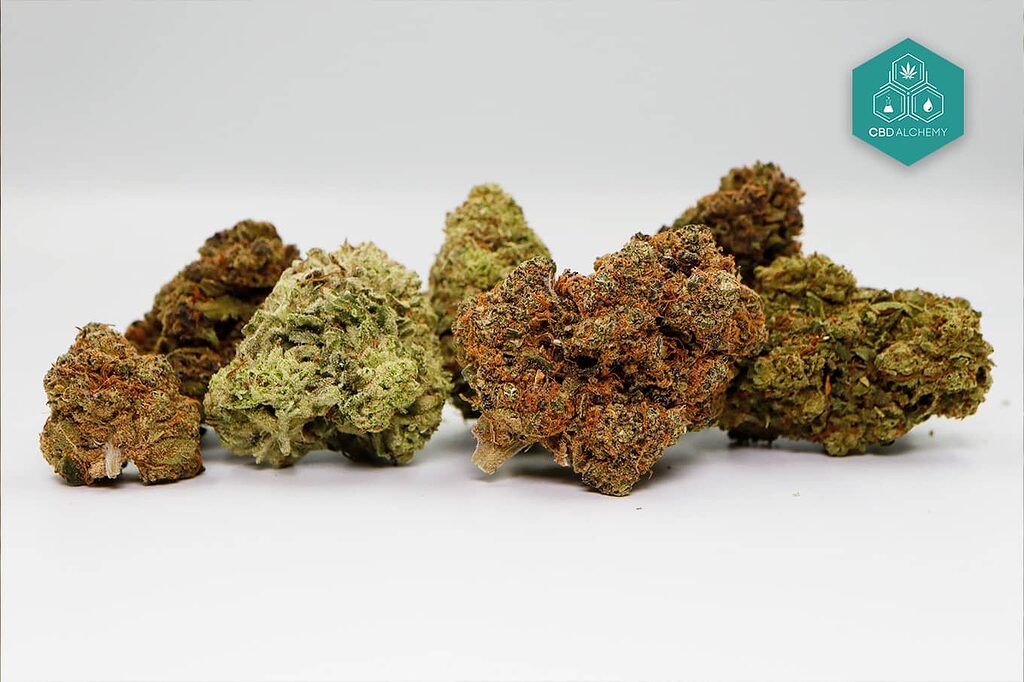 Find your perfect strain with our diverse selection of CBD hemp flower.