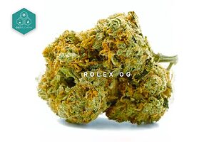 Immerse yourself in the elegance of Rolex OG Kush CBD Flowers, a premium indoor strain with high CBD content, perfect for those looking for quality and therapeutic effects without THC.