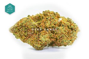 Immerse yourself in the deep sweetness of Deep Candy CBD Flowers, a strain with a relaxing effect and an unforgettable taste, perfect for those who want to add top quality cbd flowers to their cart.