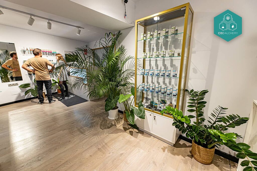 Your search ends here: the greatest CBD shop for your needs.