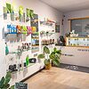 Explore our cbd shop to discover the latest trends in quality flowers and buds.
