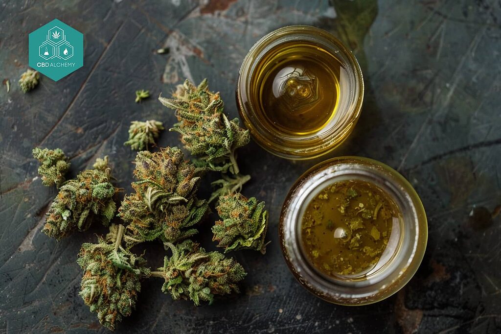Pure hash oil: concentrated and full of benefits.