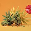 Take advantage of the offers on quality CBD flowers.