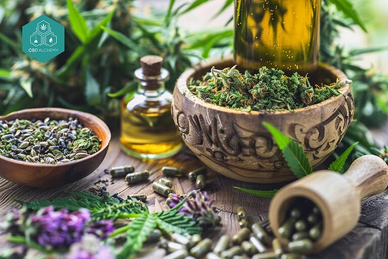 Terpenes and well-being: a world to discover in your cbd shop.