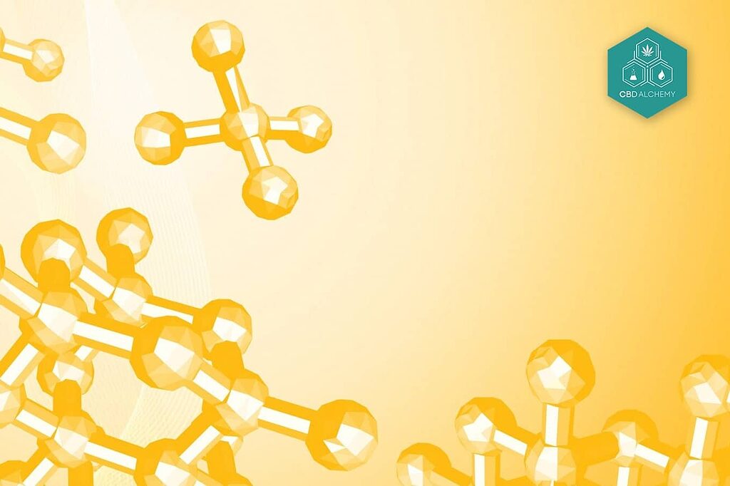 An illustration showing the composition of hemp oil, including various fatty acids and nutrients.