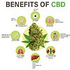 CBD oil benefits infographic.