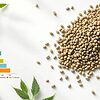 Nutritional profile of hemp seeds showcasing their rich content.