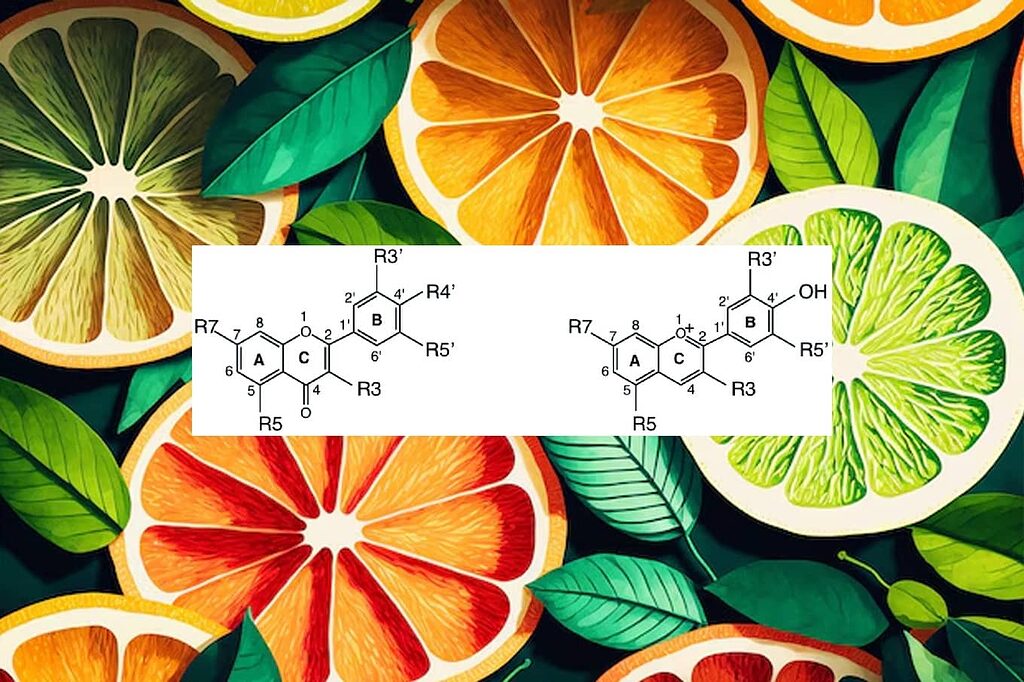 La struttura chimica dei flavonoidi mostra il caratteristico scheletro C6-C3-C6.