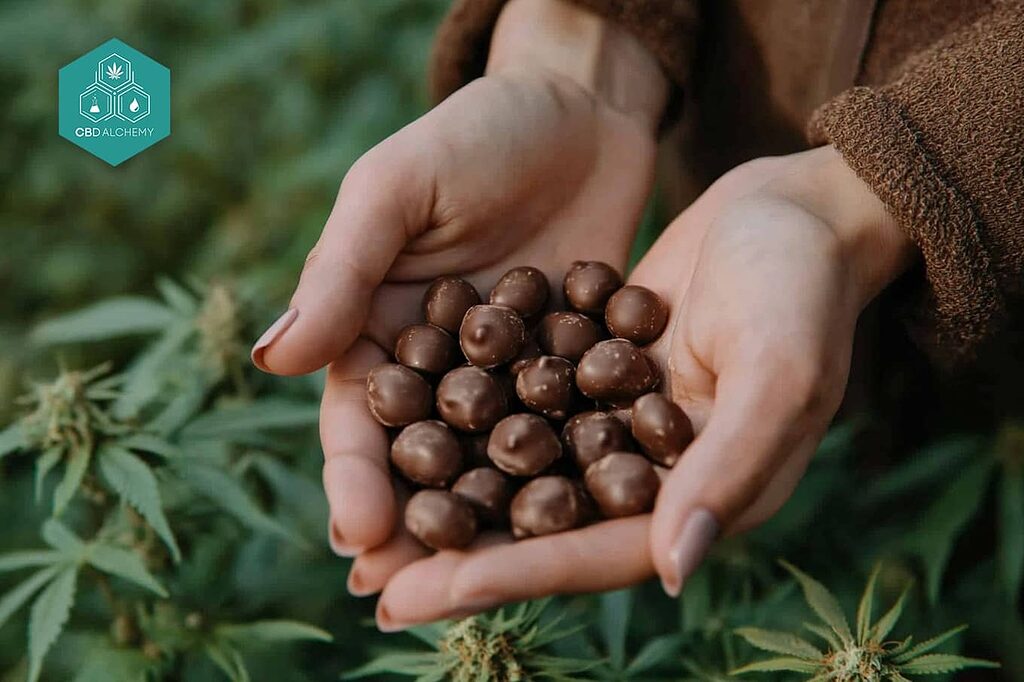 Chocolat au chanvre riche en acides gras oméga-3 et oméga-6.