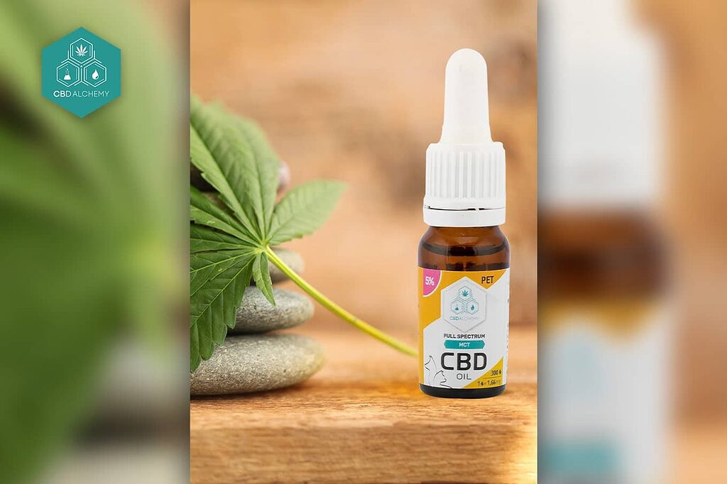 CBD oil dosage is important, start low and increase slowly.