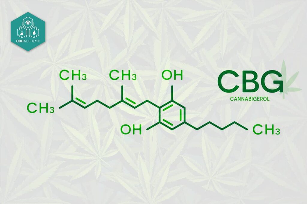 Das CBG-Molekül.