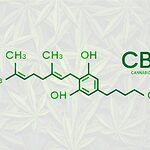 The CBG molecule.