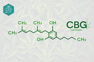 The CBG molecule.