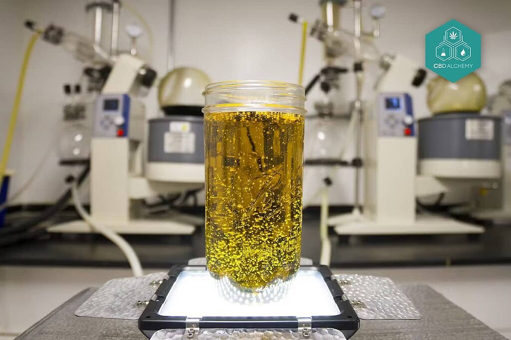 CBG extraction process in action: Precision techniques ensure high-purity cannabinoid isolation.