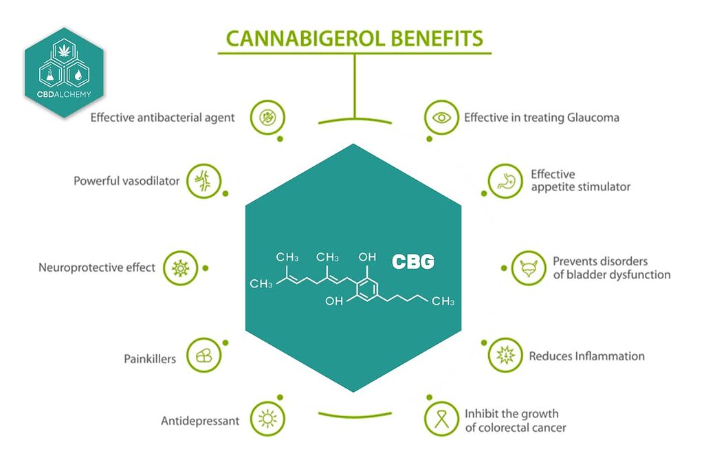 Beneficios del uso del aceite de CBG.