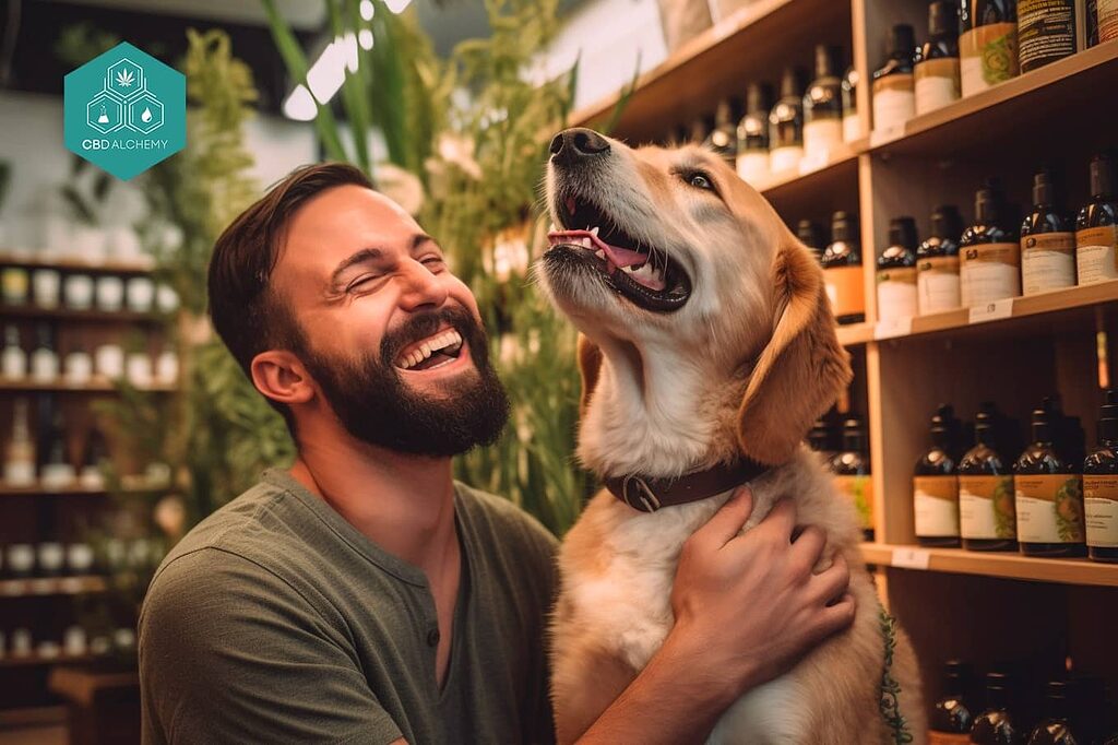 Benefits of consistent CBD use for dogs.