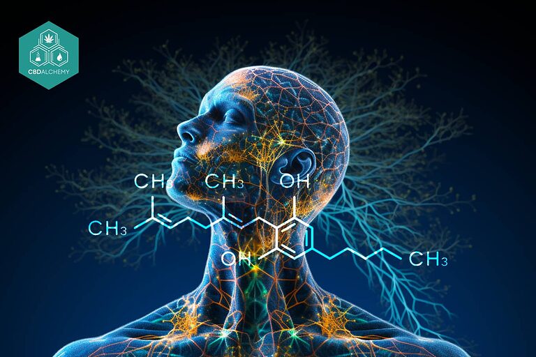 CBG Dosing Guide Find Your Optimal Balance CBD Alchemy