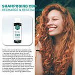 wellness-cbd_alchemy-shampoo-benefits-fr