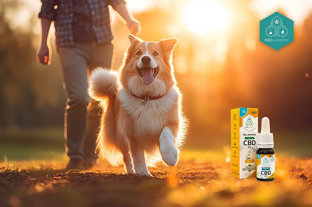 CBD-enriched pet products available for your pets.