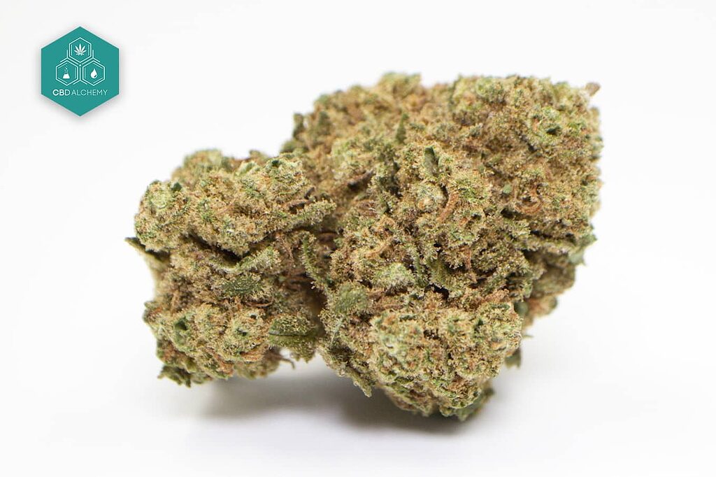 White Widow - Fiori di CBD